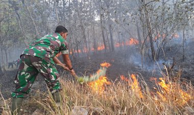 Kisah Heroik: Babinsa Ngepeh Sertu Mugianto Selamatkan Lingkungan dari Kebakaran Hutan