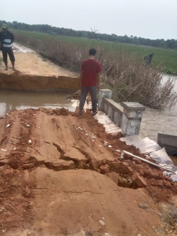 Jembatan di Jalan Tanjung Selamat Saat ini Putus, Rusak Parah, Butuh Perhatian Serius Pari Pihak Pemerintah Secepatnya