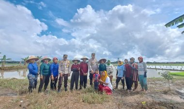 “Ngopimas”, Polsek Bungaraya ajak Masayarakat Ciptakan Pemilu Aman, Damai dan Berintegritas sambil Bantu Petani Bajak Sawah
