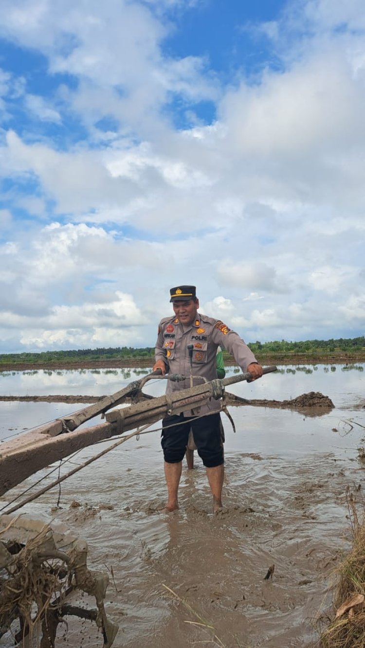 “Ngopimas”, Polsek Bungaraya ajak Masayarakat Ciptakan Pemilu Aman, Damai dan Berintegritas sambil Bantu Petani Bajak Sawah