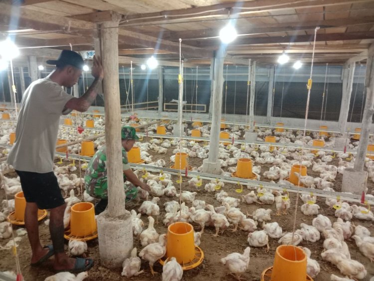 Dalam Mendukung Program Ketahanan Pangan, Terutama di Sektor Peternakan