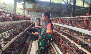 Babinsa Koramil 1710-02/Timika Berikan Motivasi dan Dukungan kepada Peternak Ayam di Kelurahan Pasar Sentral