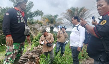 Polisi Minta KPH Tentukan Koordinat Terkait Kasus Pengrusakan Kebun Sawit di Indragiri Hulu