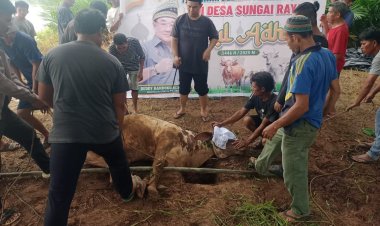 Deddy Handoko Beri 14 Sapi Kurban di Inhu