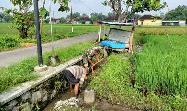 Babinsa Sawit Bantu Petani Boyolali Bersihkan Gulma Padi