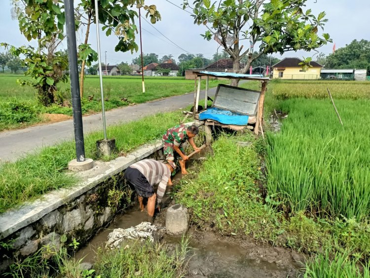 Babinsa Sawit Bantu Petani Boyolali Bersihkan Gulma Padi