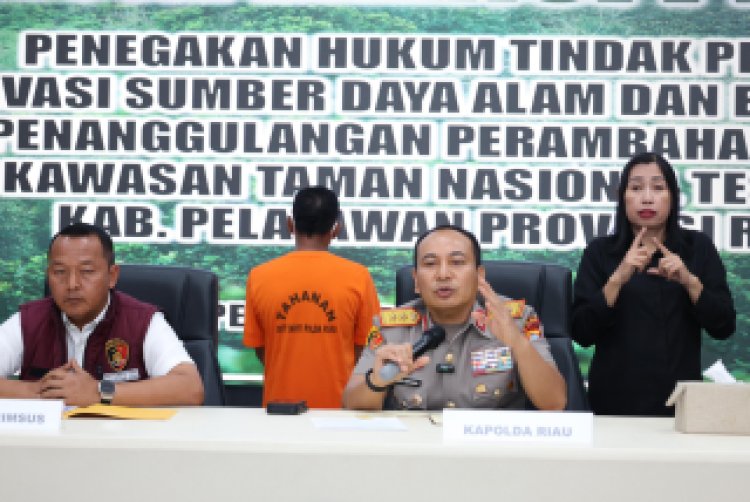 Tokoh Adat Riau Ditangkap karena Jual Kawasan Hutan TNTN