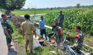 Koramil Sawit Dampingi Petani Jatirejo Tingkatkan Hasil Panen