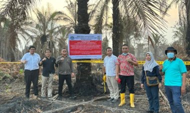 KLHK Segel 5 Perusahaan Terkait Karhutla Riau