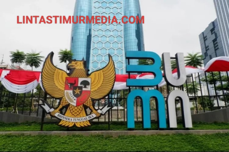 30 Wakil Menteri Rangkap Komisaris BUMN, Ini Daftarnya