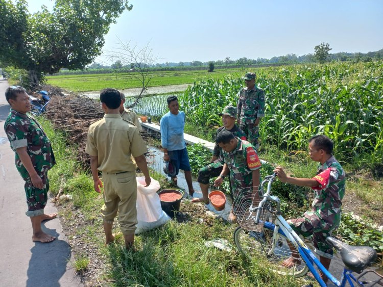 Koramil Sawit Dampingi Petani Jatirejo Tingkatkan Hasil Panen