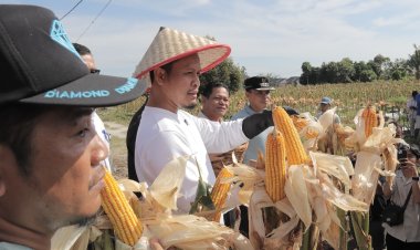 100 Hari AMAn: Gebrakan Wali Kota Pekanbaru Hadirkan Kota Bersih, Nyaman, dan Pro-Rakyat