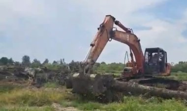 Polda Sumut Diminta Usut Perambahan Lahan Negara oleh Residivis Nakko Sitanggang