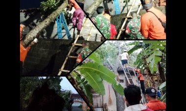 Pohon Tumbang di Boyolali, Babinsa dan BPBD Sigap Evakuasi Warga