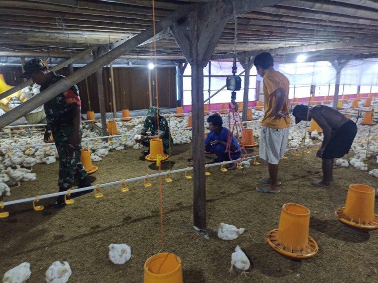 Babinsa Sragen Imbau Peternak Ayam Potong Jaga Kebersihan Kandang