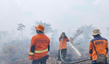 Karhutla Riau Masih Membara, BPBD Gencar Lakukan Pemadaman Darat dan Udara