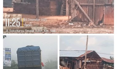 Hutan Riau Terancam, Somel Ilegal Marak di Kampar