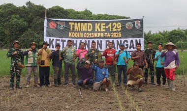Sinergitas Perkuat Swasembada Pangan Pelosok Desa, Satgas TMMD Ke-129 Kodim 0313/KPR Turun Ke Sawah Tanam Padi Di Desa Kuala Panduk
